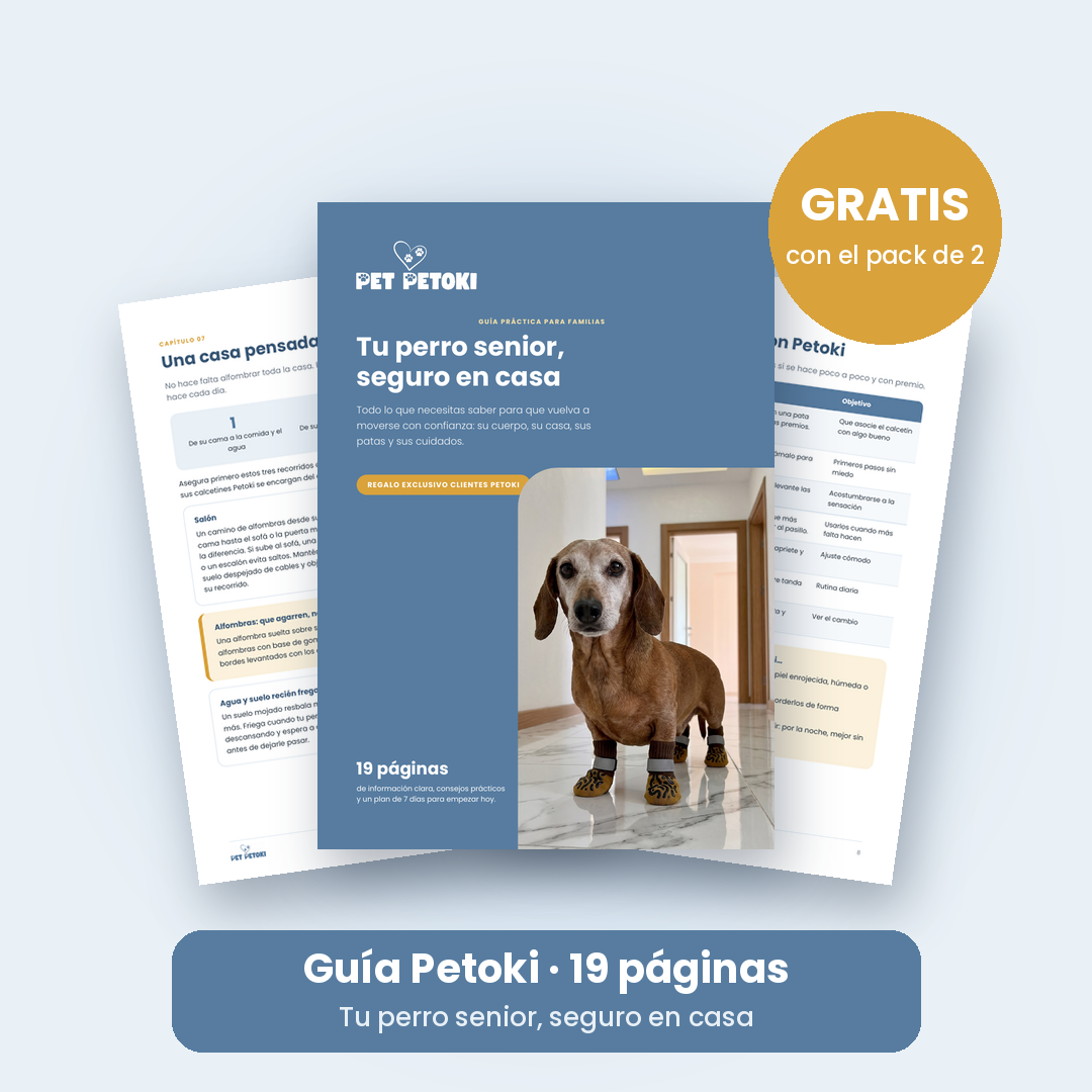 PDF - Tu perro senior seguro en casa