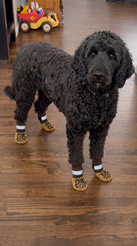 Perro con calcetines antideslizantes Pet Petoki sobre suelo de madera